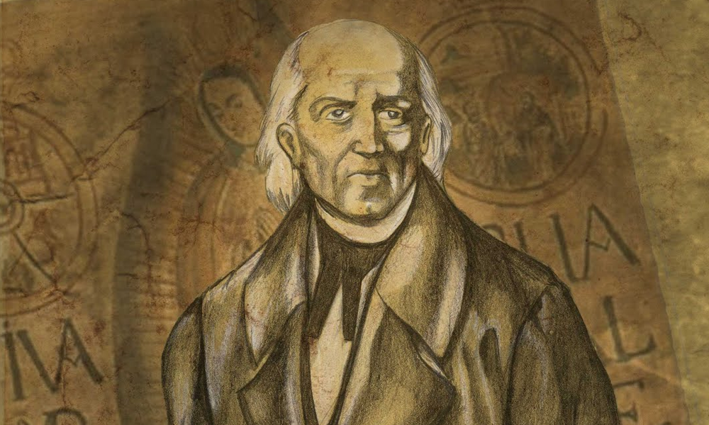 rotulación de vehículos