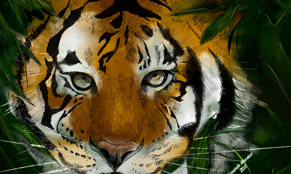 rotulación de vehículos